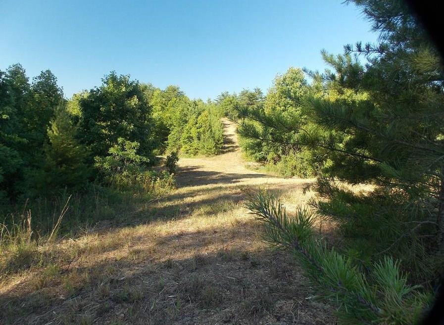 419 Ford Road Resaca, GA 30735 - Photo 1 of 1