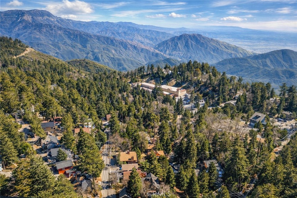 1171 Bear Springs Road Rimforest, CA 92378 - Photo 3 of 43