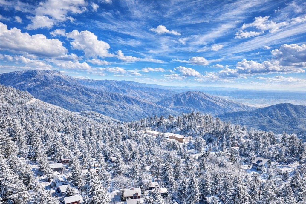 1171 Bear Springs Road Rimforest, CA 92378 - Photo 38 of 43