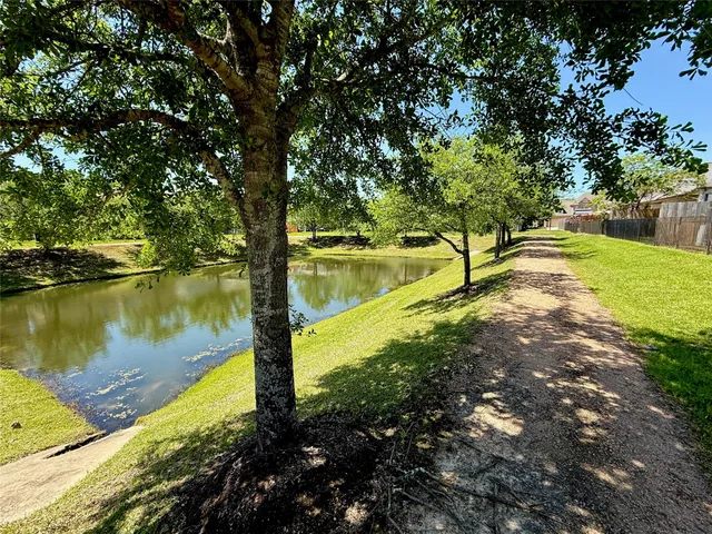 a view of a lake with a tree