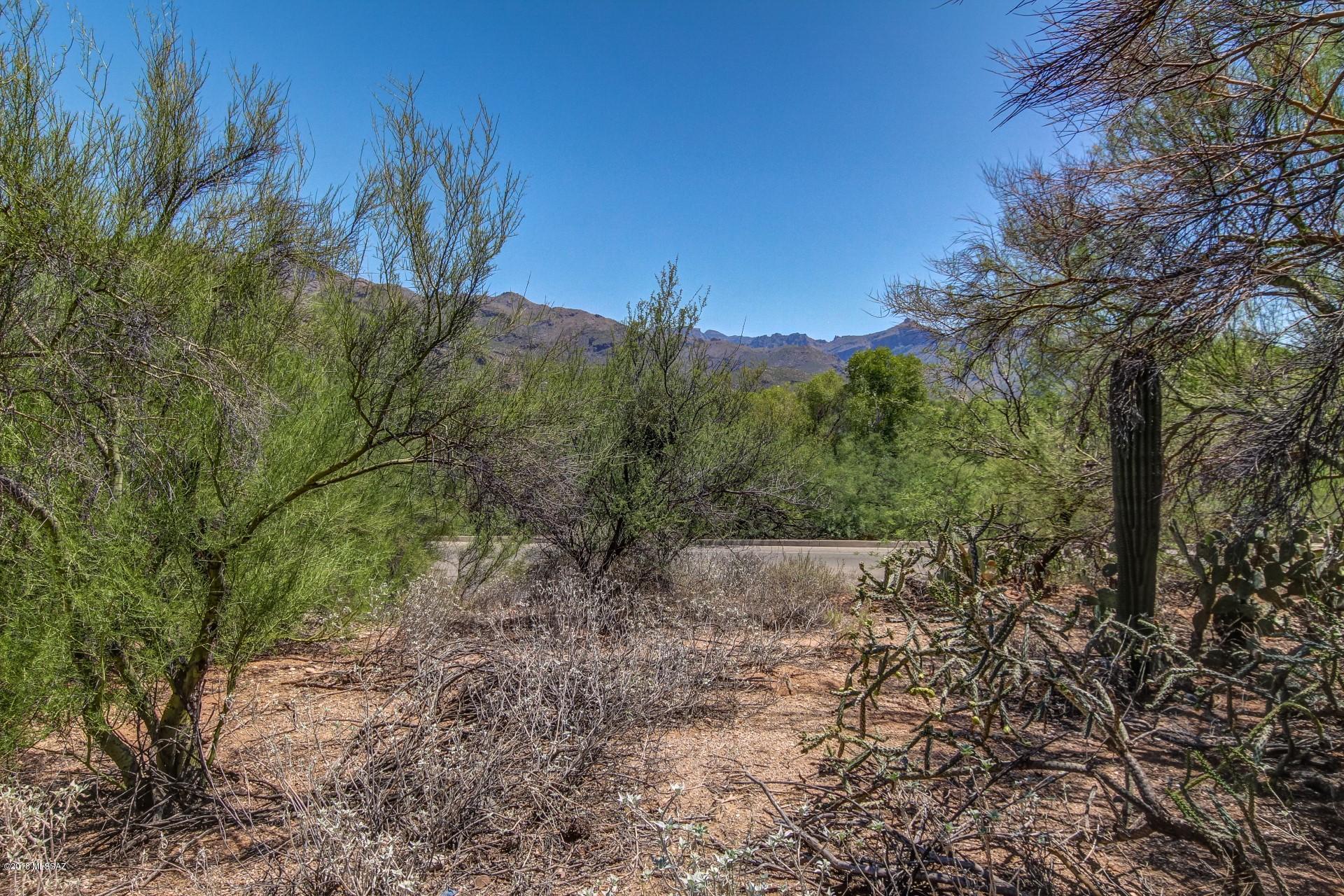 5855 North Kolb Road, Unit 6211 Tucson, AZ 85750 - Photo 22 of 22