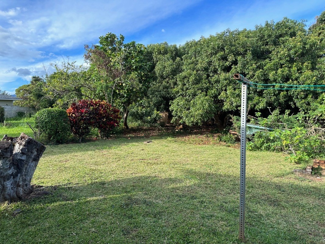 4850 Yamanoha Road Kapaa, HI 96746 - Photo 17 of 22 a view of a back yard