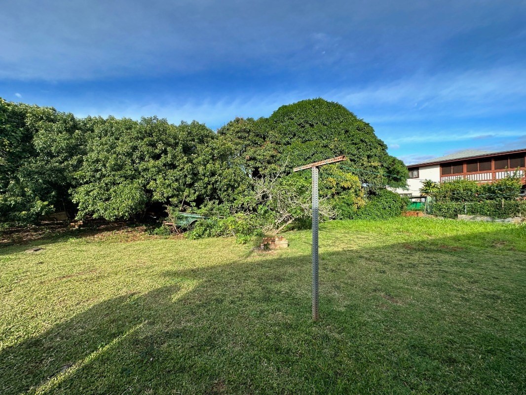 4850 Yamanoha Road Kapaa, HI 96746 - Photo 19 of 22 a backyard of a house