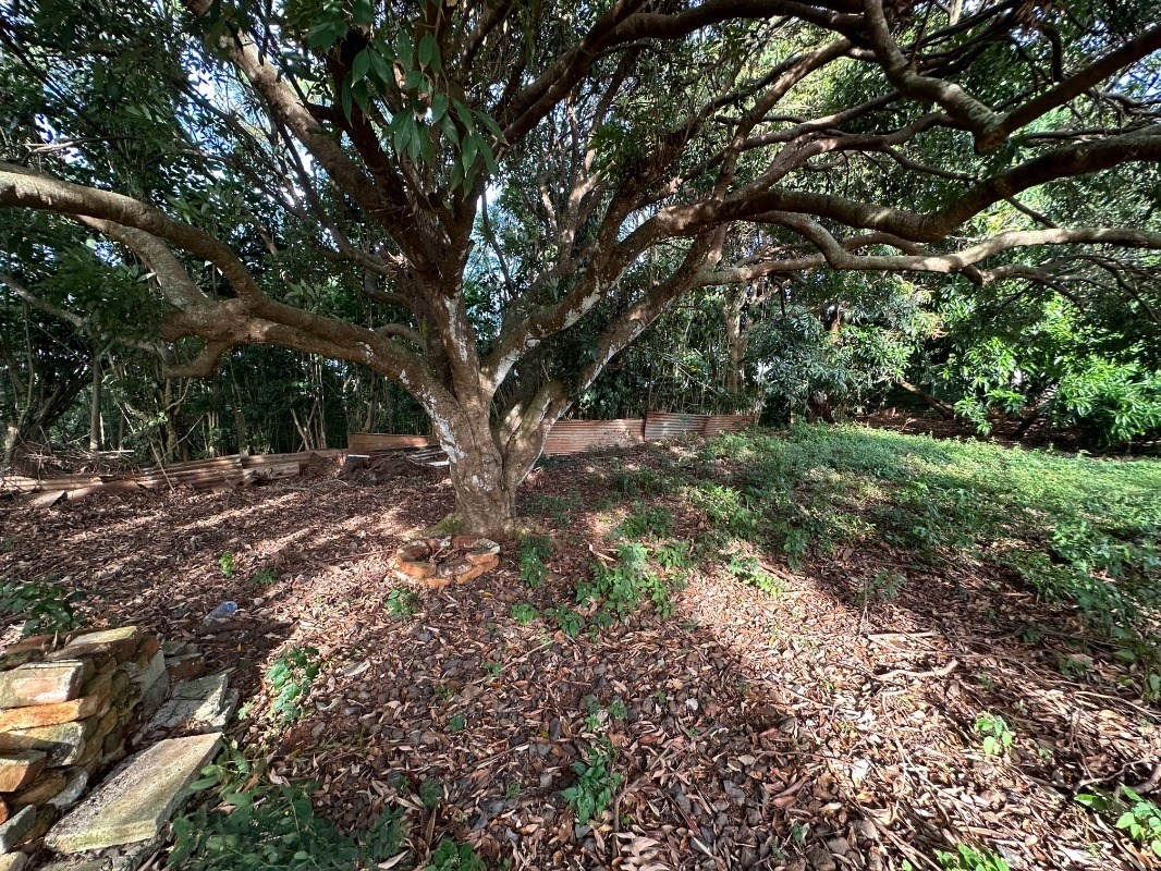 4850 Yamanoha Road Kapaa, HI 96746 - Photo 20 of 22 a view of outdoor space with green space