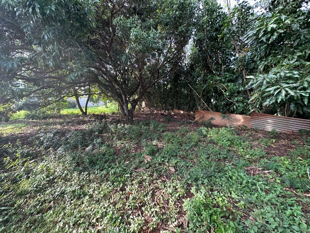4850 Yamanoha Road Kapaa, HI 96746 - Photo 21 of 22 a view of outdoor space and yard
