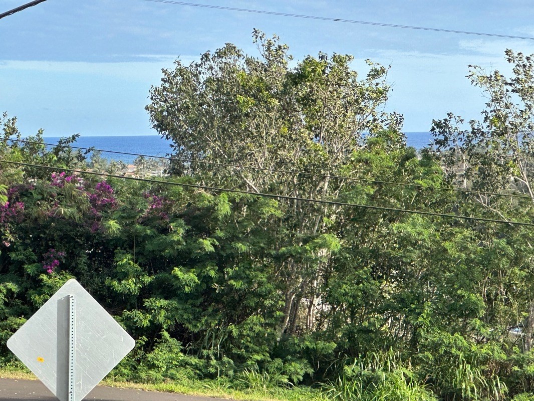 4850 Yamanoha Road Kapaa, HI 96746 - Photo 4 of 22 a view of a yard in front of a house