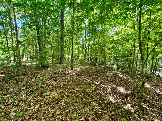 3 Rockridge Road Murphy, NC 28906 - Photo 9 of 13