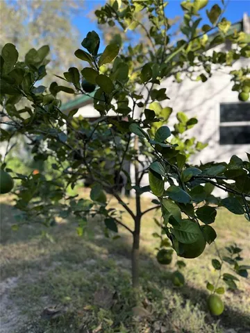 $319,900 | 4725 South Trent Terrace, Homosassa, FL 34446