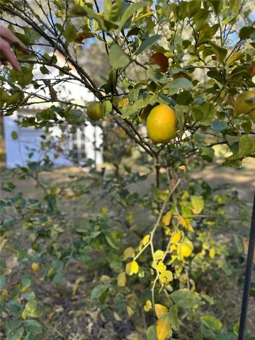 $319,900 | 4725 South Trent Terrace, Homosassa, FL 34446