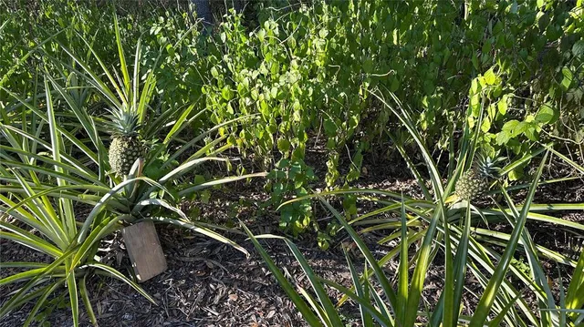 $319,900 | 4725 South Trent Terrace, Homosassa, FL 34446