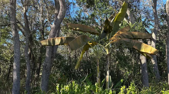 $319,900 | 4725 South Trent Terrace, Homosassa, FL 34446