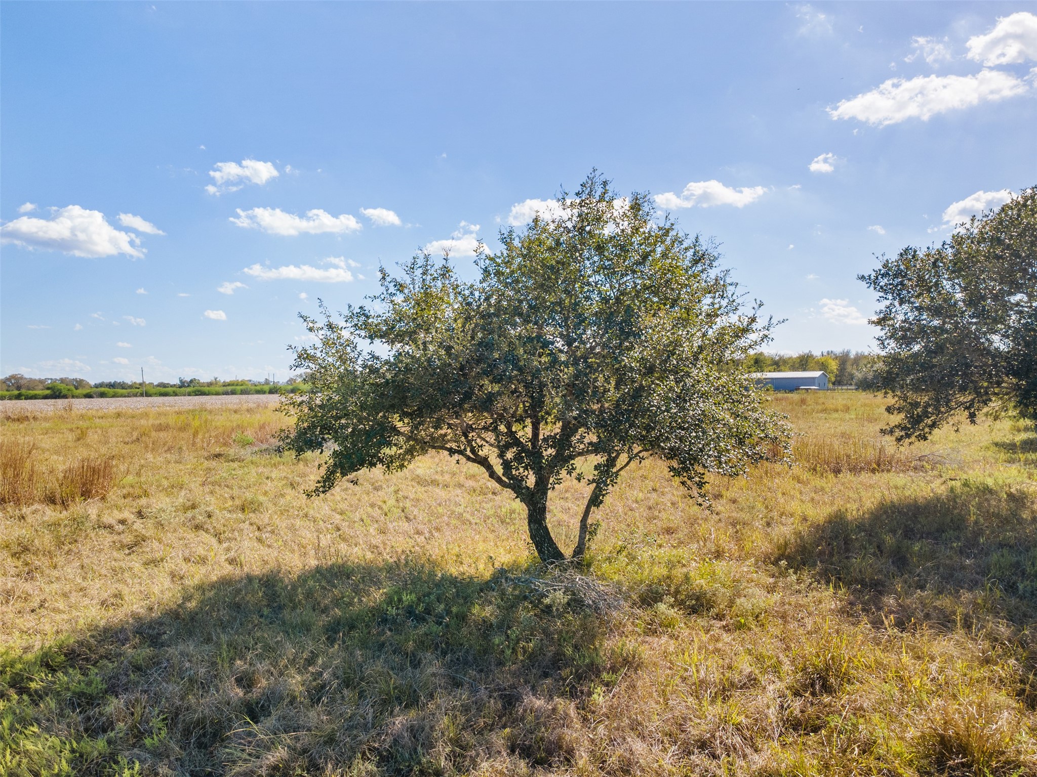 Tbd Moravian Ridge Circle Sealy, TX 77474 - Photo 4 of 9