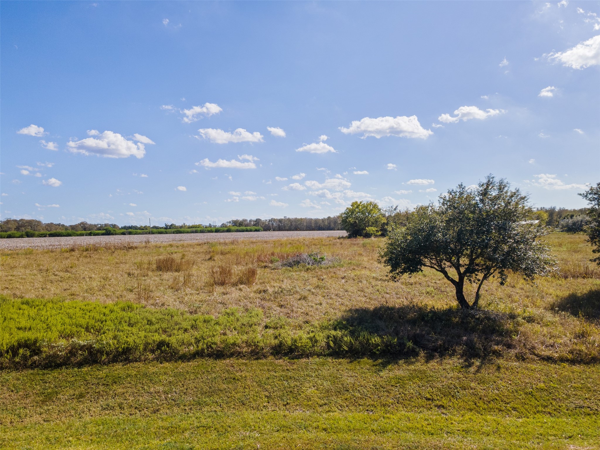 Tbd Moravian Ridge Circle Sealy, TX 77474 - Photo 5 of 9