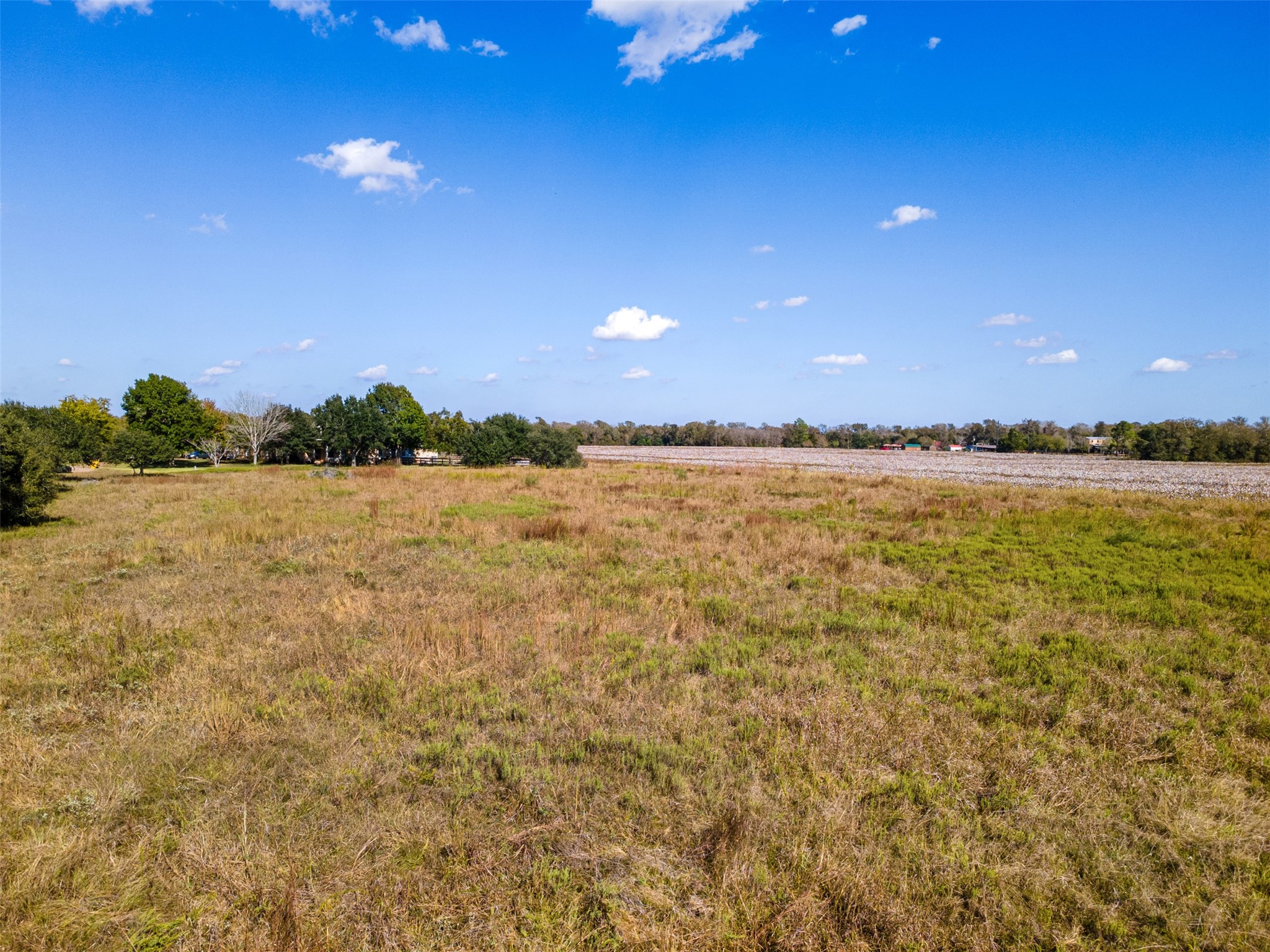 Tbd Moravian Ridge Circle Sealy, TX 77474 - Photo 6 of 9
