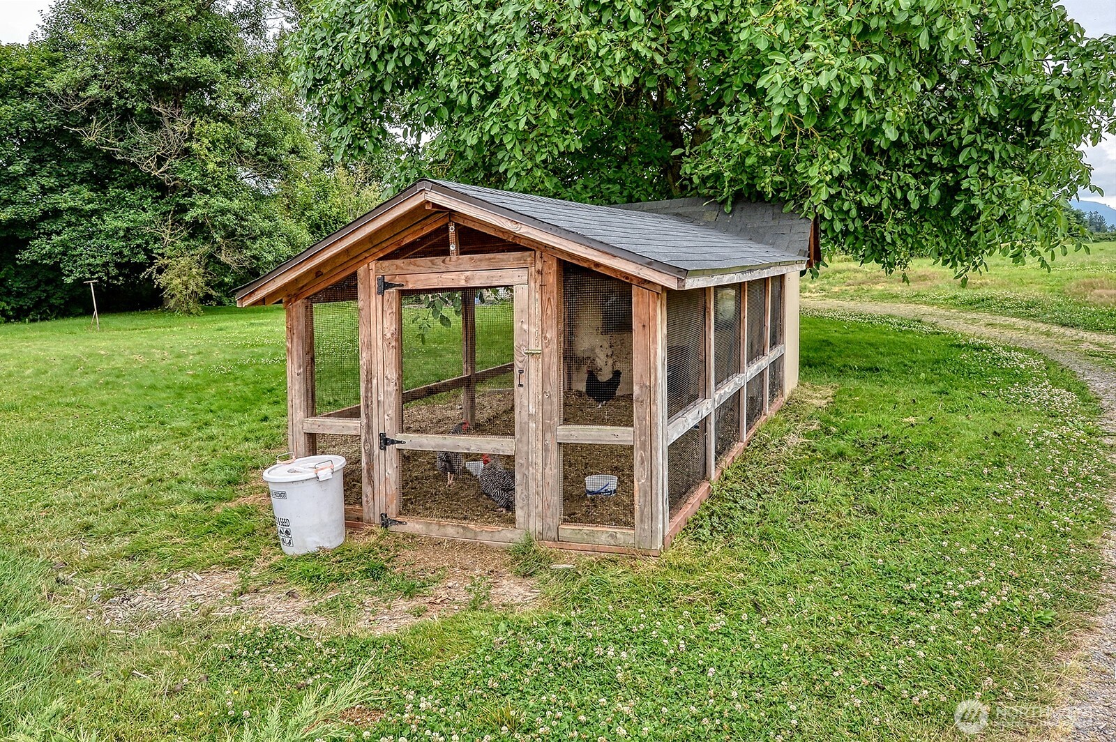 2875 Tom Road Everson, WA 98247 - Photo 30 of 30
