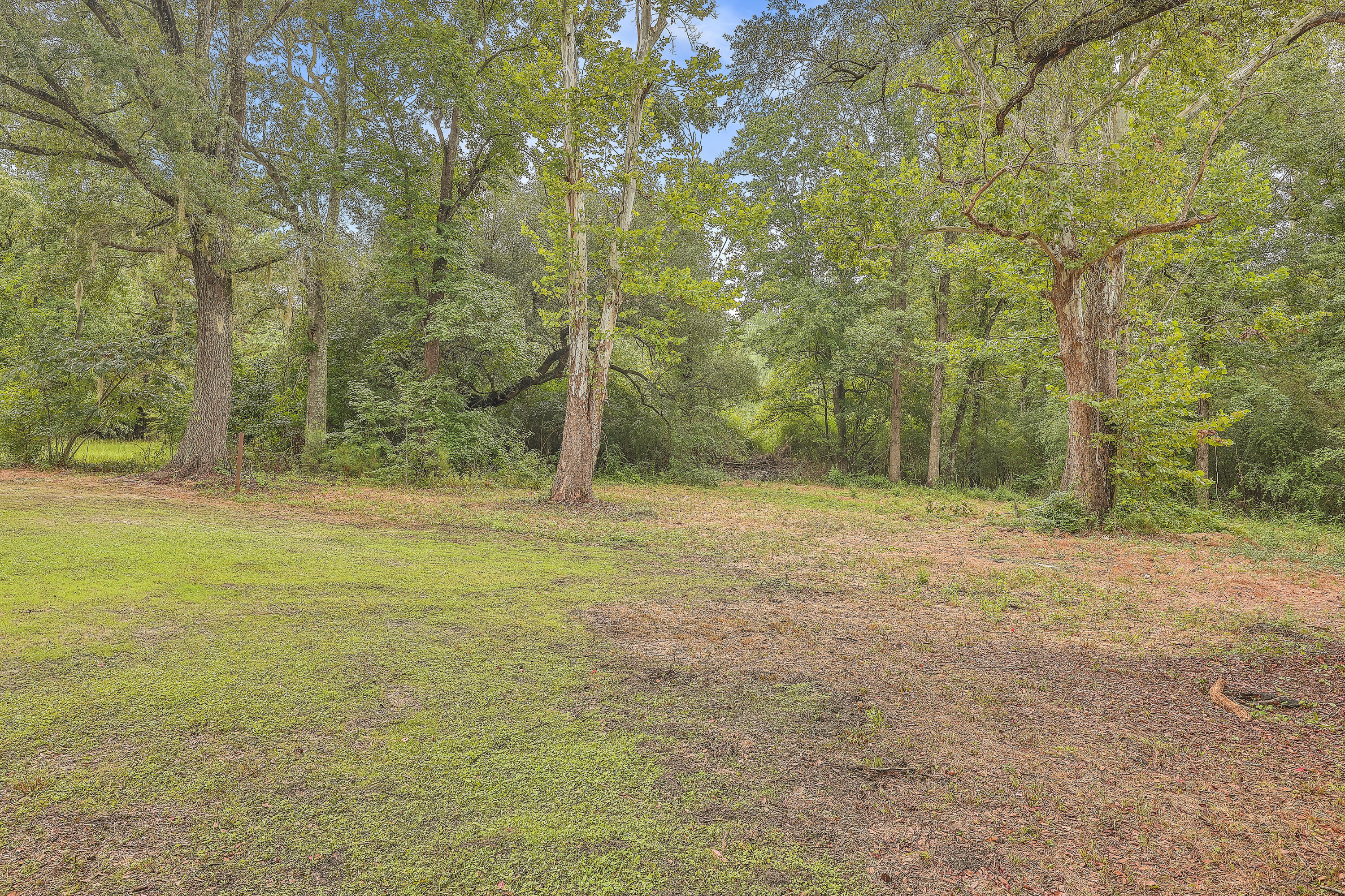 4514 State Road Ridgeville, SC 29472 - Photo 6 of 31 ZYN_3184_85_86_87_88_89_90