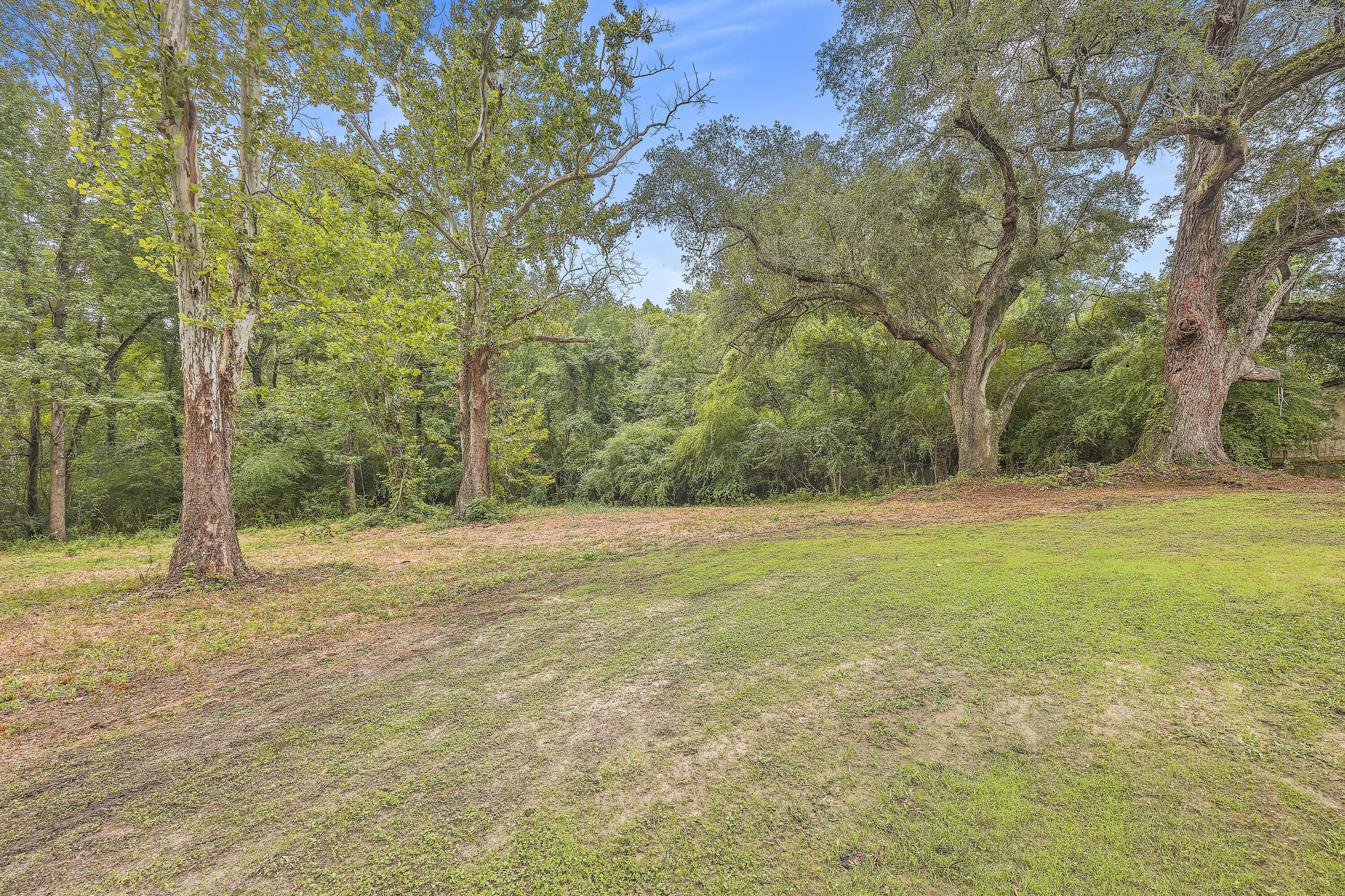 4514 State Road Ridgeville, SC 29472 - Photo 10 of 31 ZYN_3212_3_4_5_6_7_8