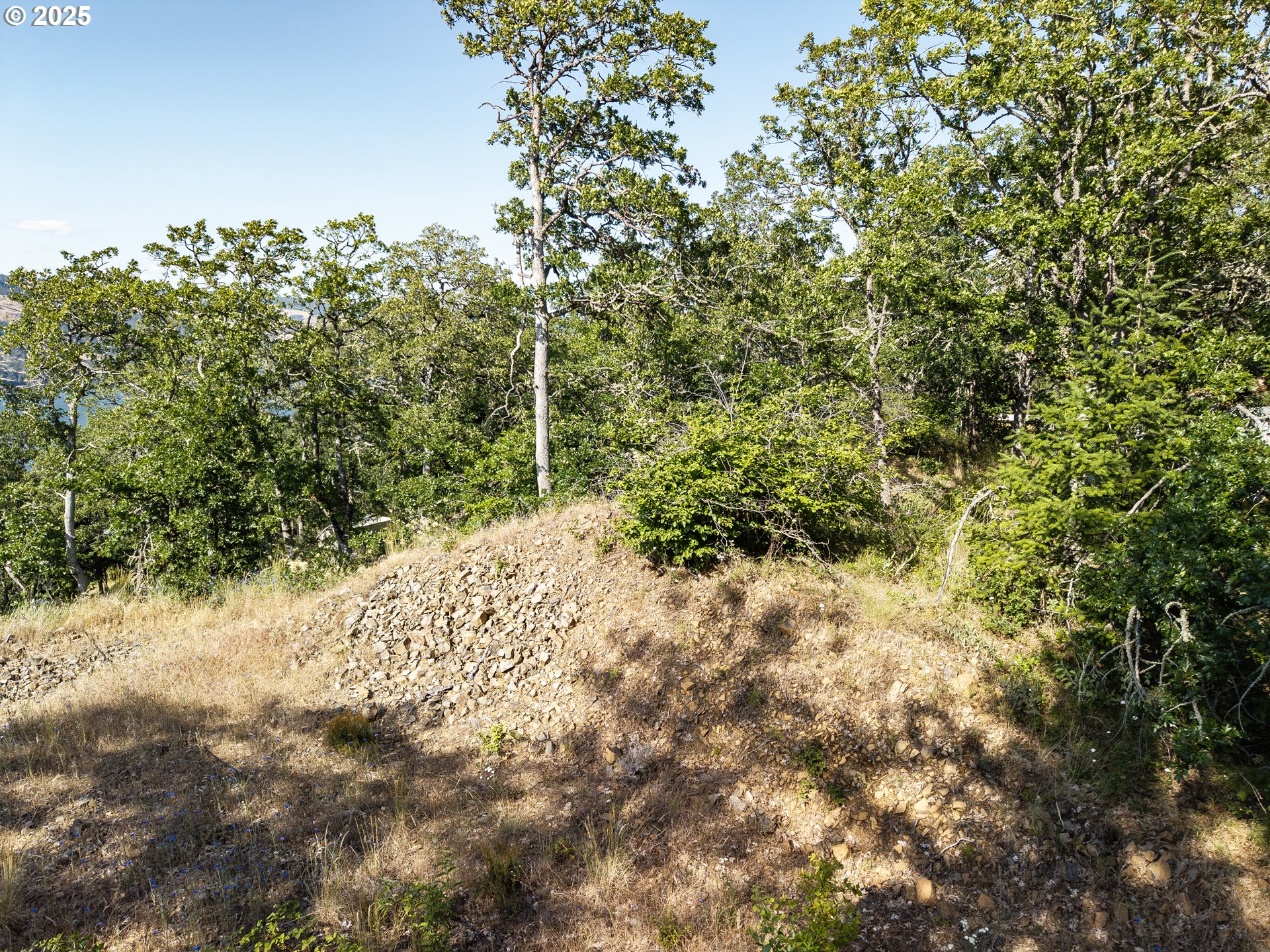 Coyote Court, Unit 49 Mosier, OR 97040 - Photo 11 of 13