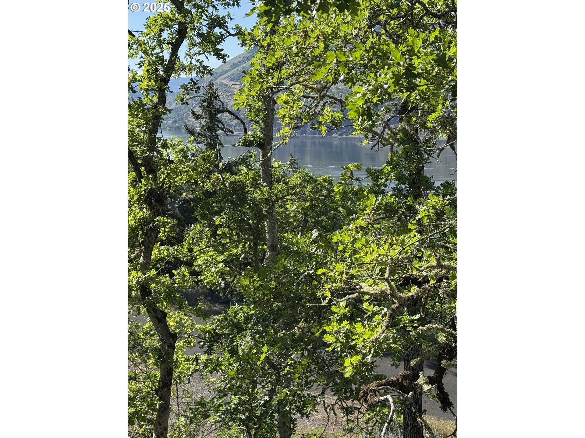 Coyote Court, Unit 49 Mosier, OR 97040 - Photo 3 of 13