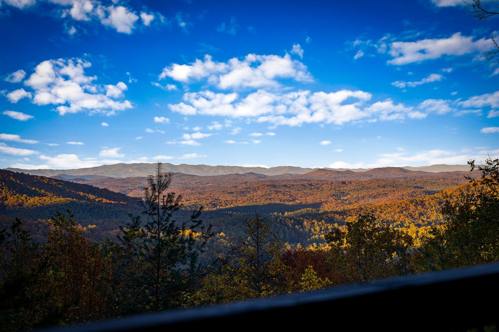 904 Racoon Road Blue Ridge, GA 30513 - Photo 47 of 101 Gallery Image 47