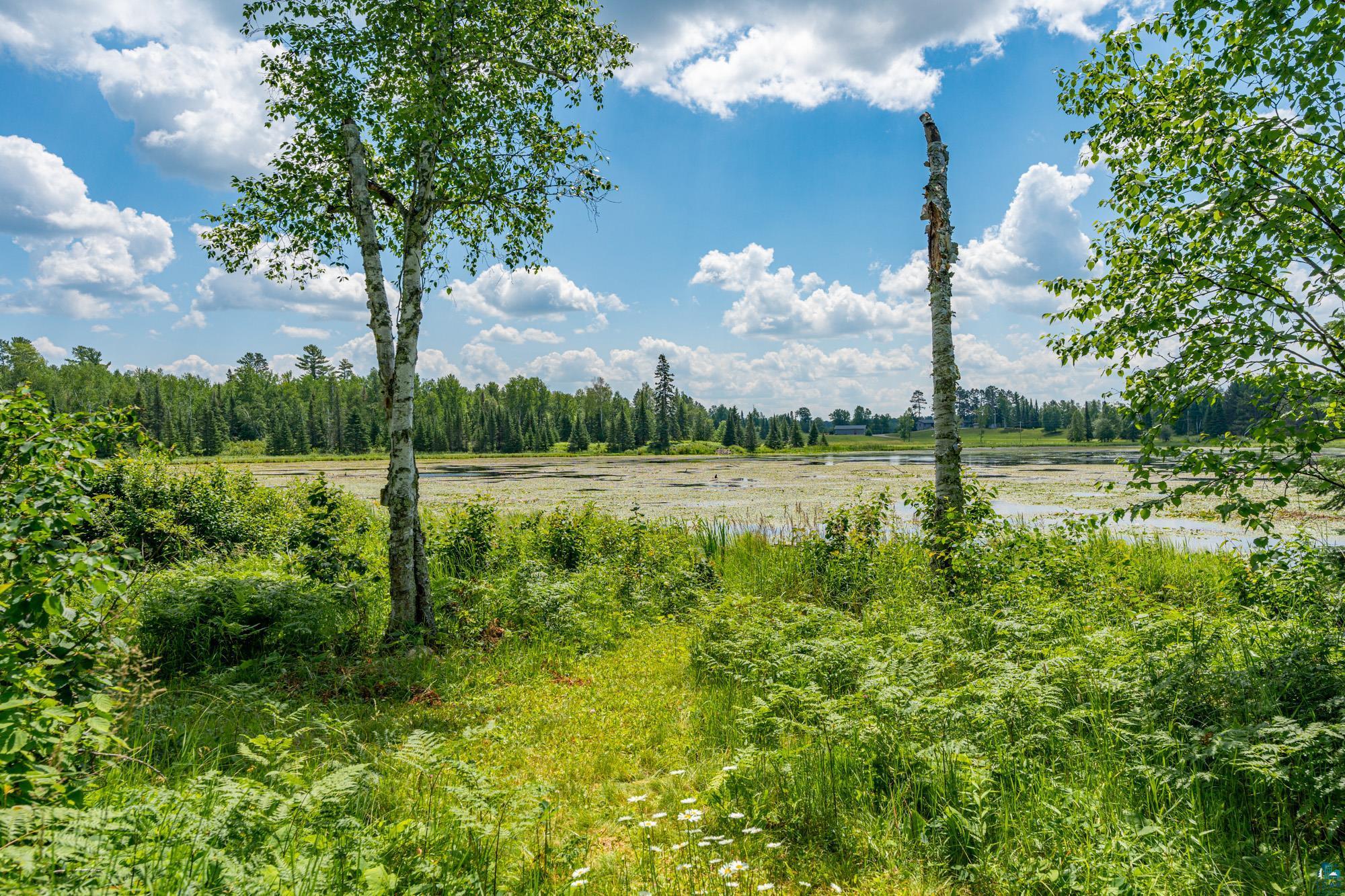 296 Shady Lane Ely, MN 55731 - Photo 21 of 27 View of local wilderness with a rural view