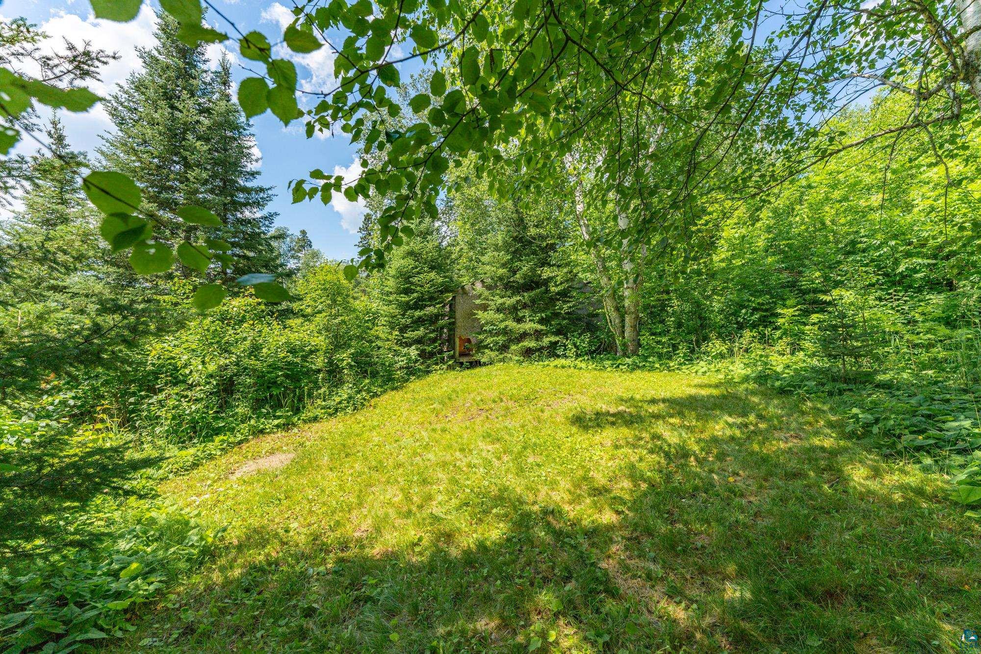 296 Shady Lane Ely, MN 55731 - Photo 22 of 27 View of local wilderness