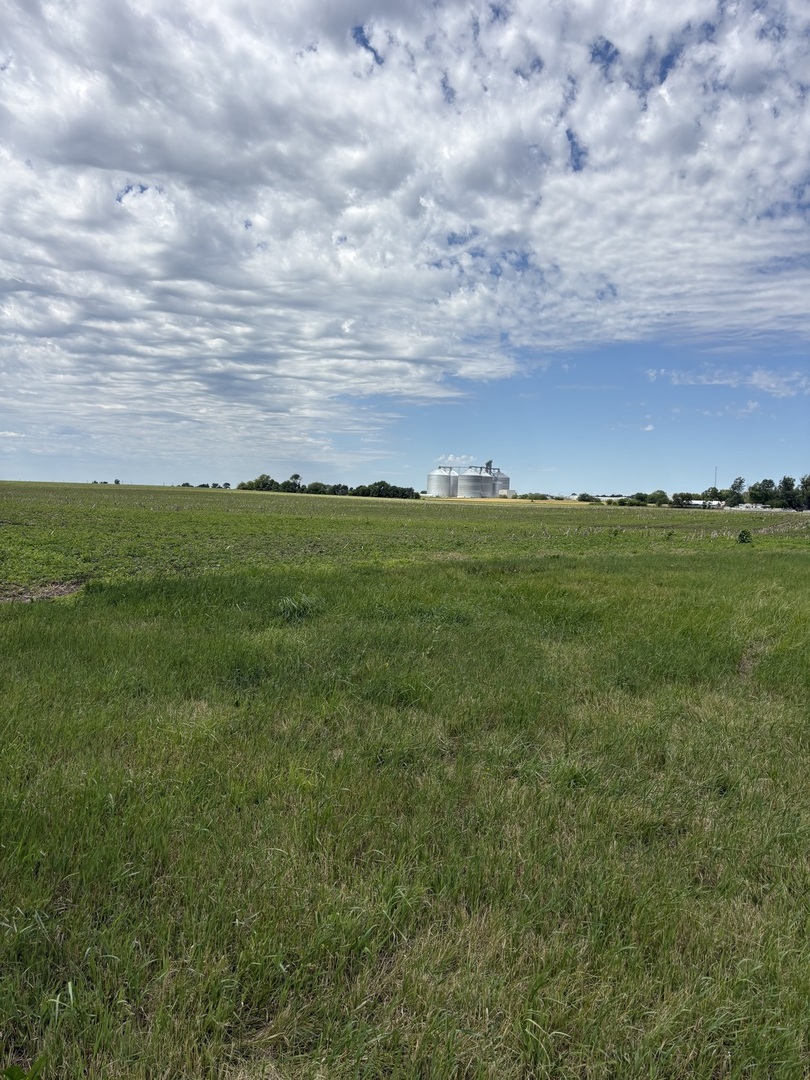 10531 West Kennedy Road Peotone, IL 60468 - Photo 4 of 5