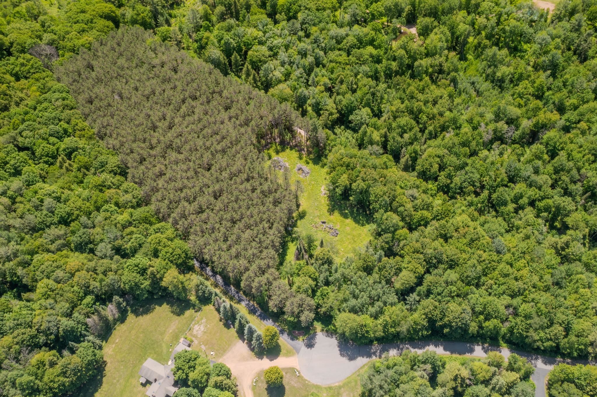 225449 Star Dust Lane Ringle, WI 54471 - Photo 4 of 13