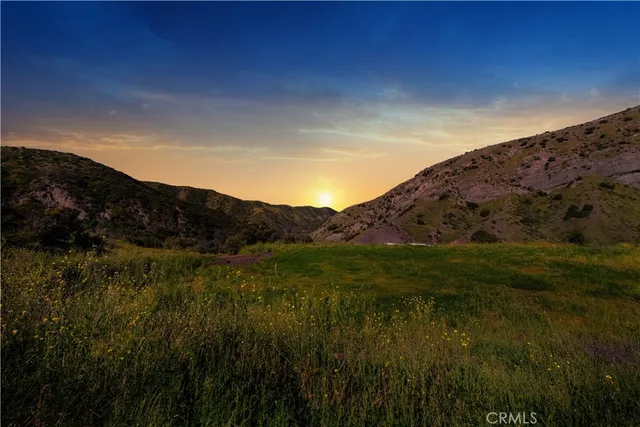 a view of a lush green space with sea