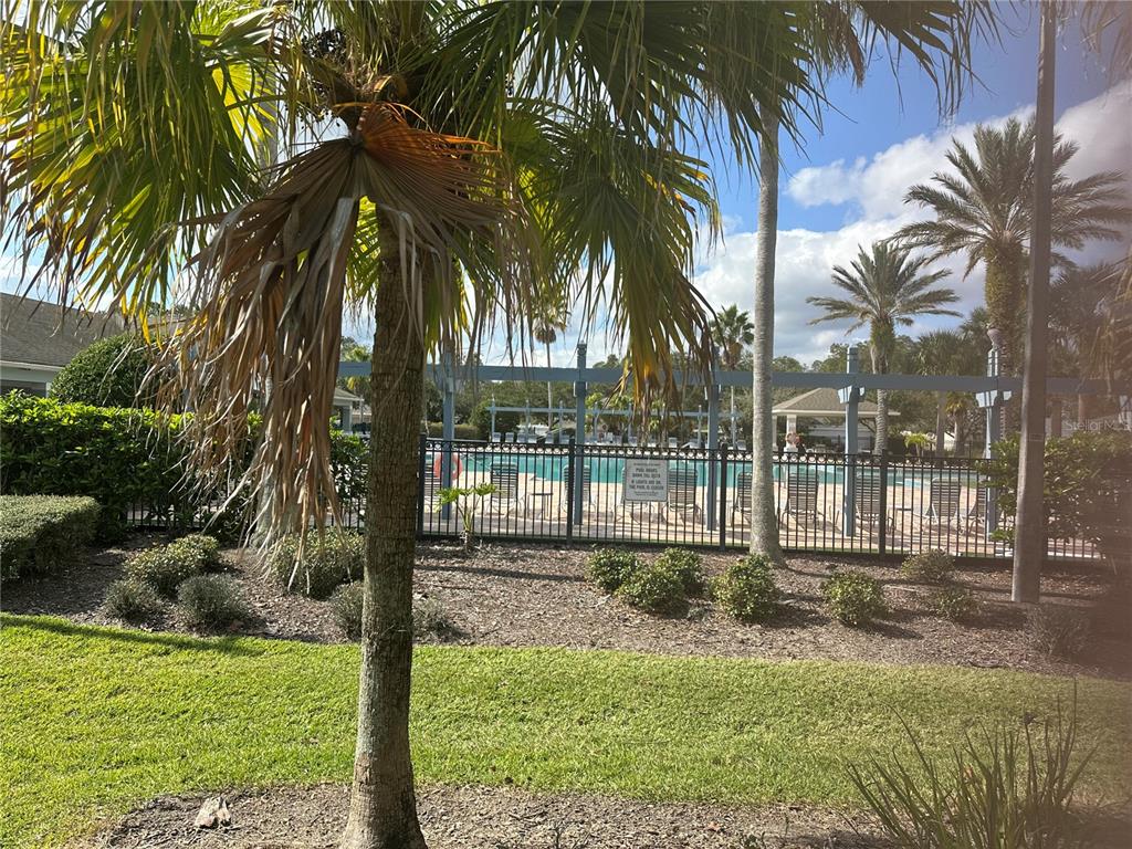 7739 Seafield Lane Wesley Chapel, FL 33545 - Photo 3 of 10 a view of a yard and a palm trees