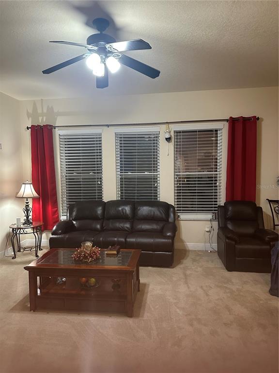7739 Seafield Lane Wesley Chapel, FL 33545 - Photo 6 of 10 a living room with furniture and a fireplace