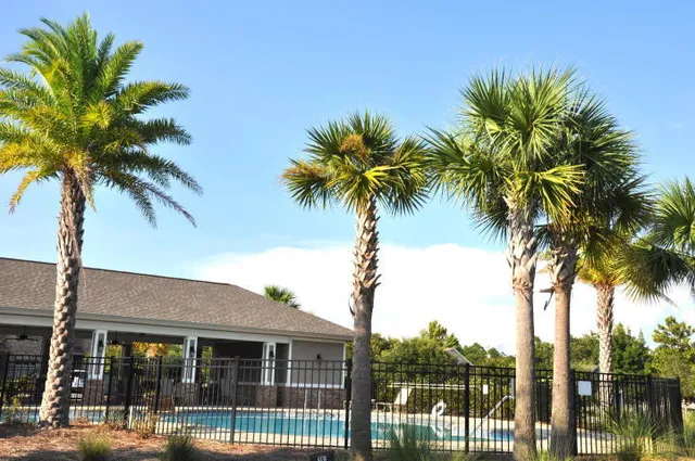 a view of a swimming pool with a yard