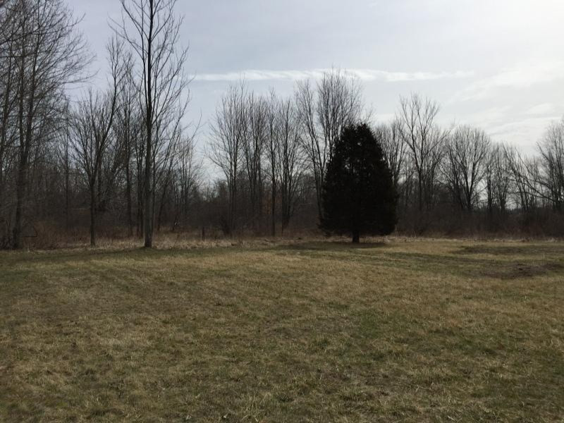 7182 15 1/2 Mile Road Marshall, MI 49068 - Photo 20 of 21 IMG_3367