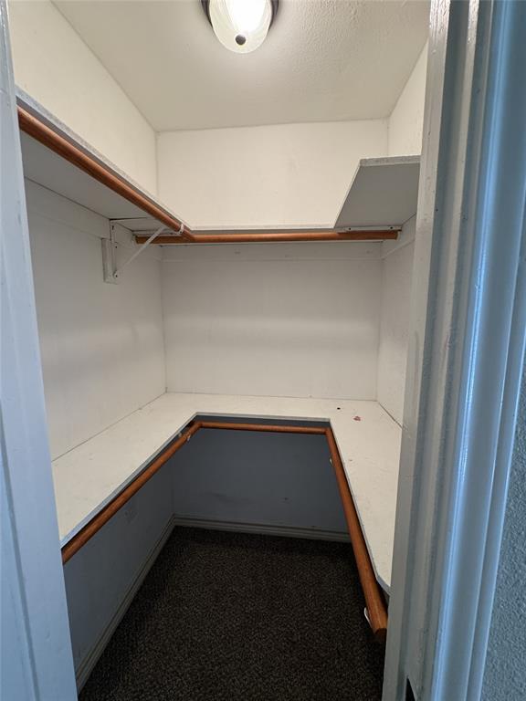 803 Ripley Avenue Ennis, TX 75119 - Photo 24 of 40 Recessed ceiling light fixture illuminating a U-shaped closet with built-in shelving, hanging rods, and carpet flooring