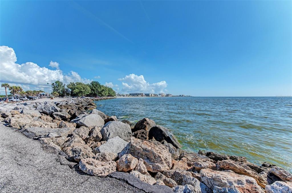 105 Dartmouth Road Venice, FL 34293 - Photo 92 of 100 a view of a lake with a beach