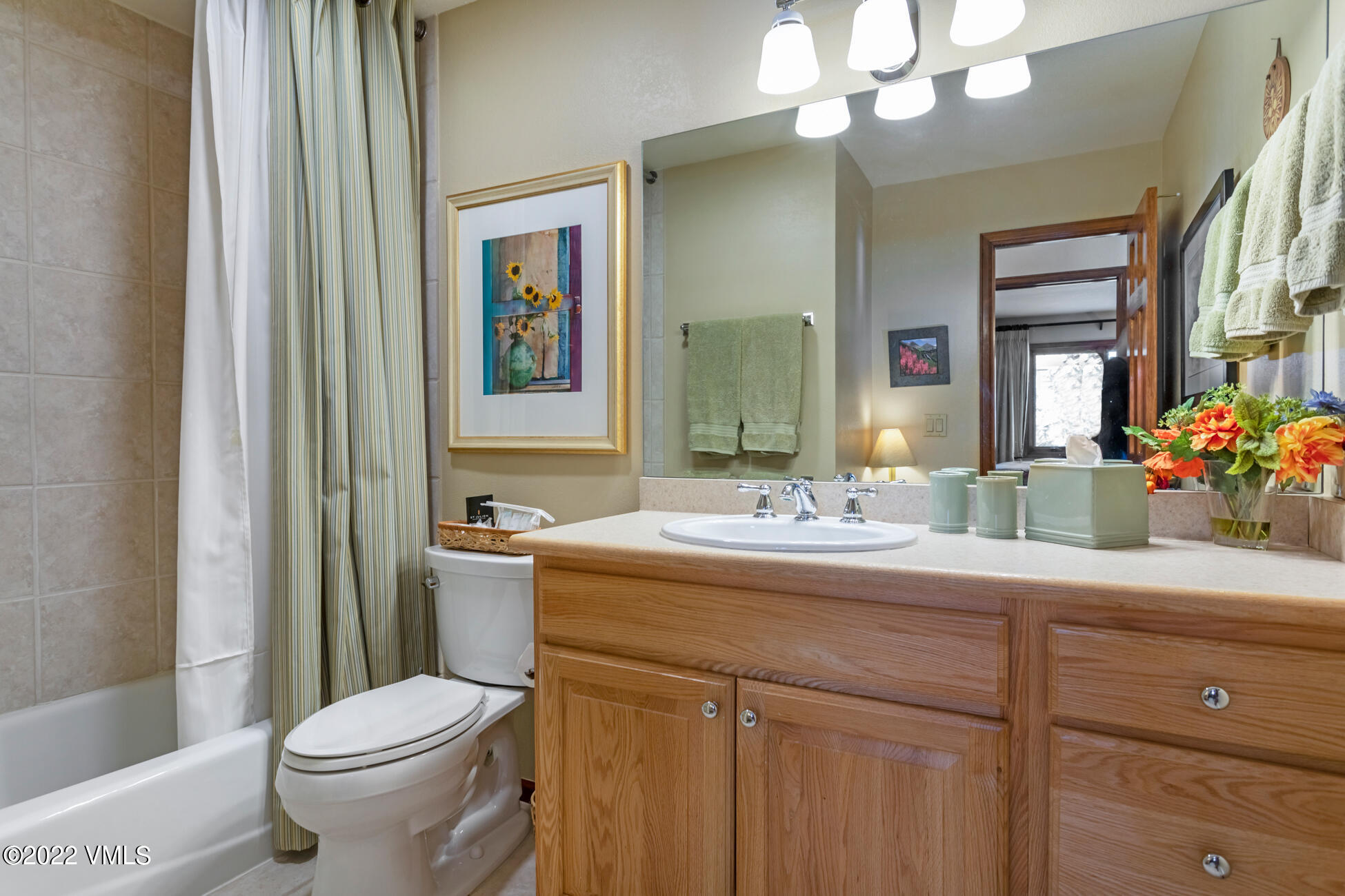 231 Rawhide Road Edwards, CO 81632 - Photo 22 of 35 a bathroom with a sink a toilet and a mirror
