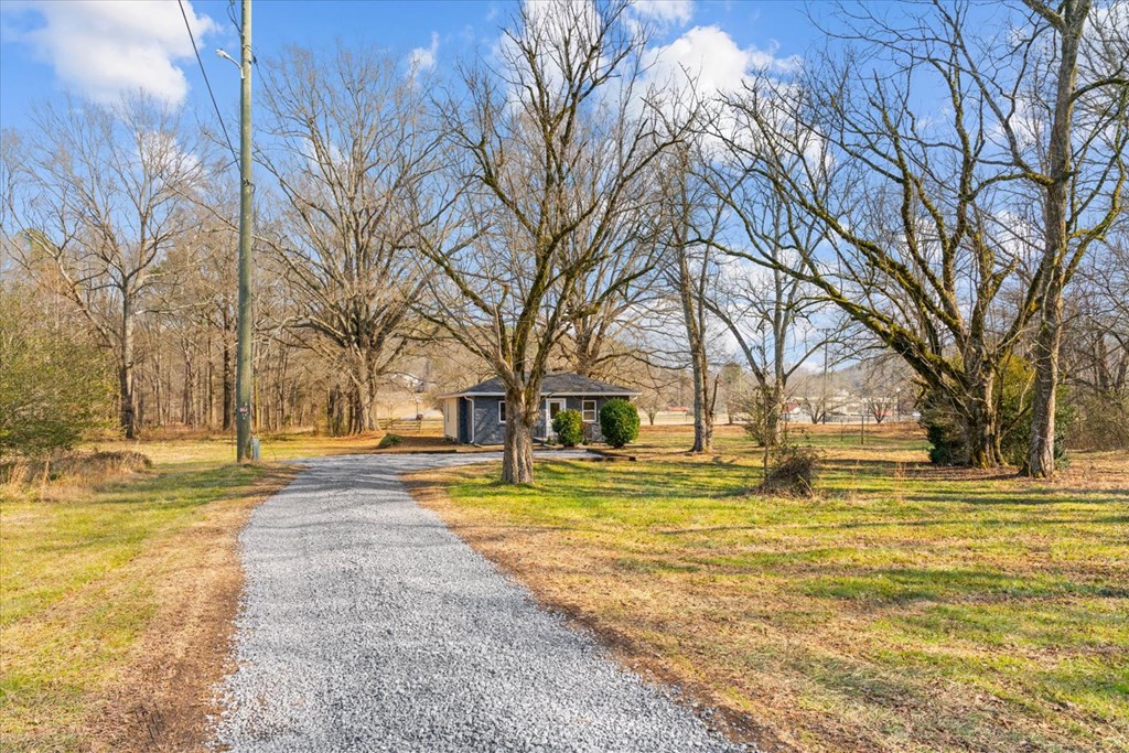 5180 Red Clay Road Cohutta, GA 30710 - Photo 3 of 40 Gallery Image 3