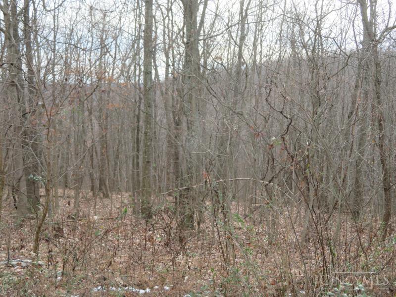 7730 Beavers Ridge Road Piketon, OH 45661 - Photo 12 of 15