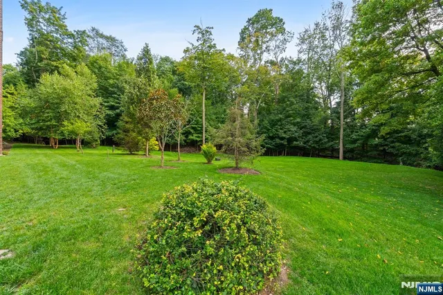 a view of a grassy field with trees in the background