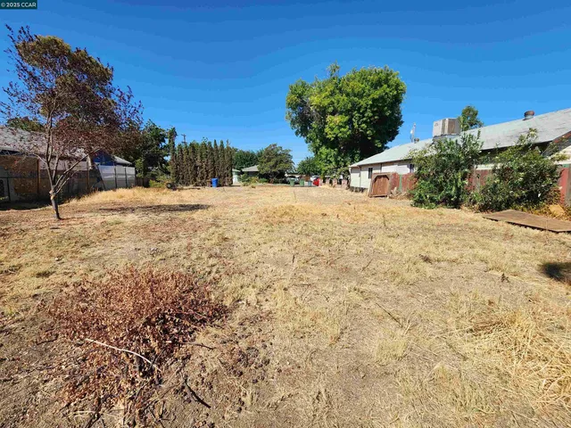a street view along with trees