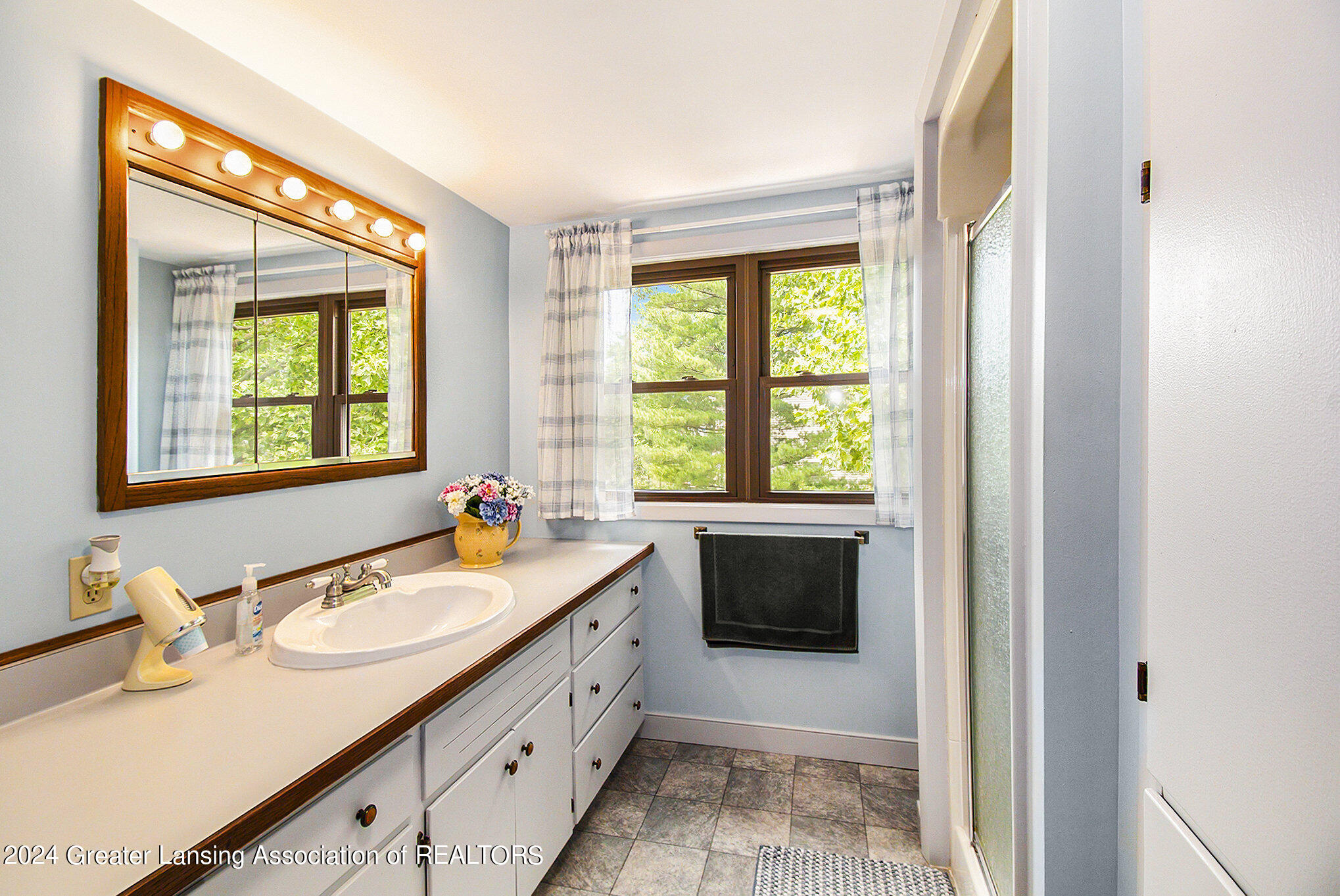 107 North Scott Road St. Johns, MI 48879 - Photo 25 of 35 025_ndp0373