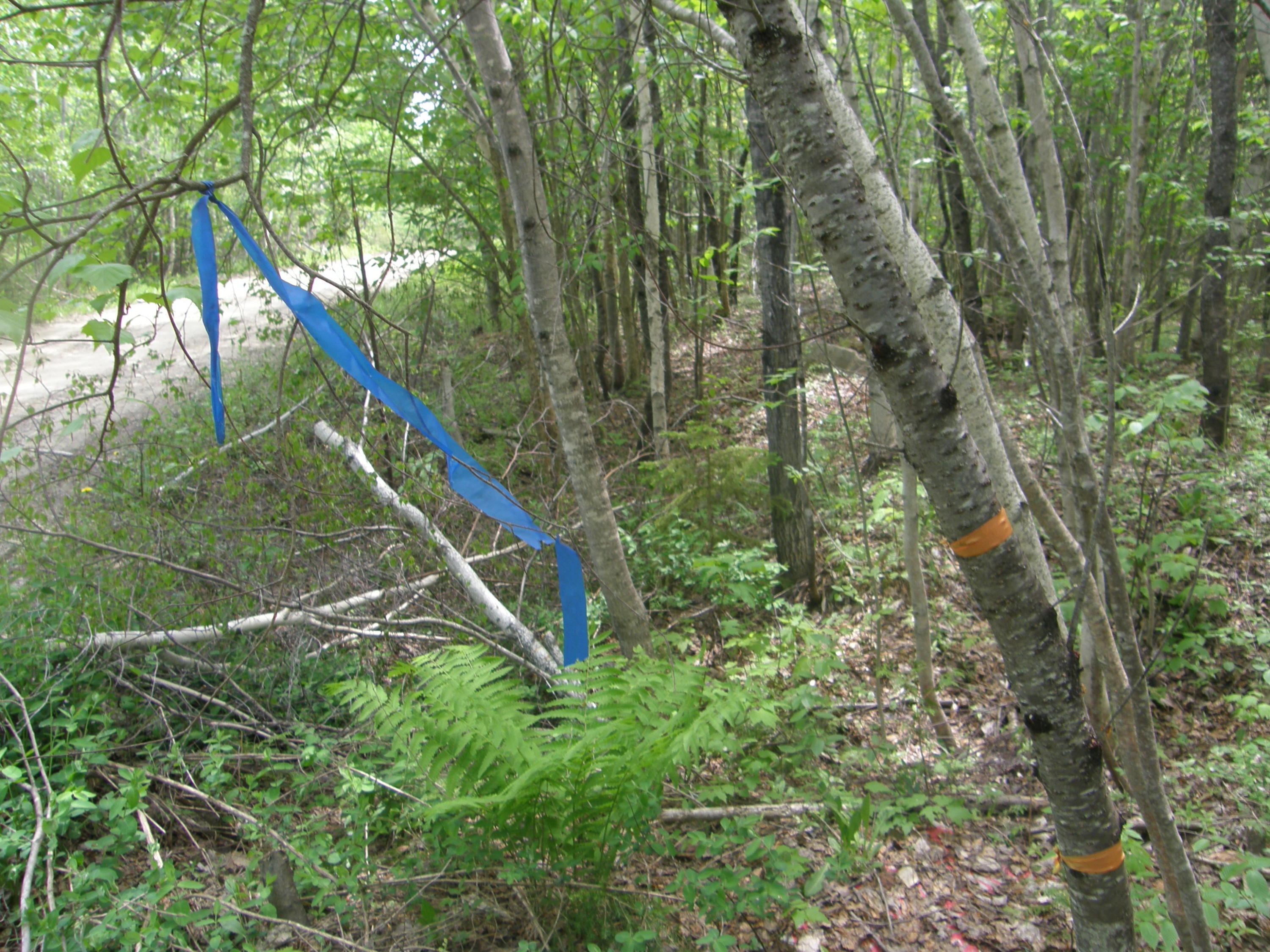 M10-l4 M10-l4 Stone Bridge Road Dexter, ME 04930 - Photo 3 of 9 P5280683