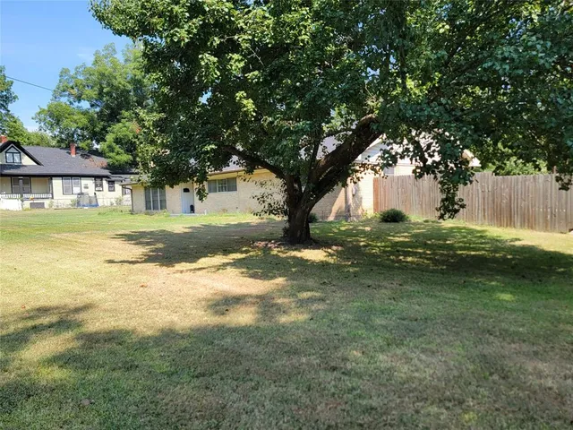 a view of a trees in a yard
