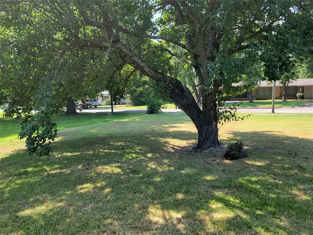 a view of a swimming pool with lawn chairs and large trees