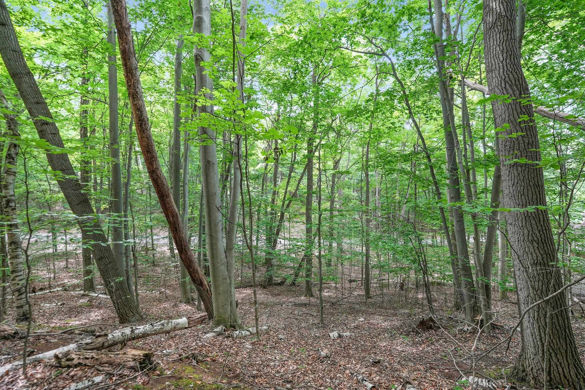 Lot 4 Spring Valley Road Beulah, MI 49617 - Photo 25 of 41