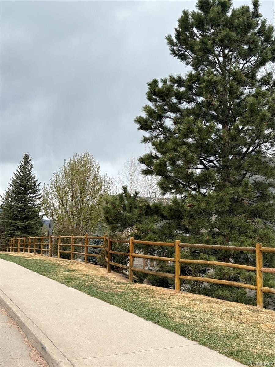 31276 Stone Canyon Road, Unit 76206 Evergreen, CO 80439 - Photo 23 of 23