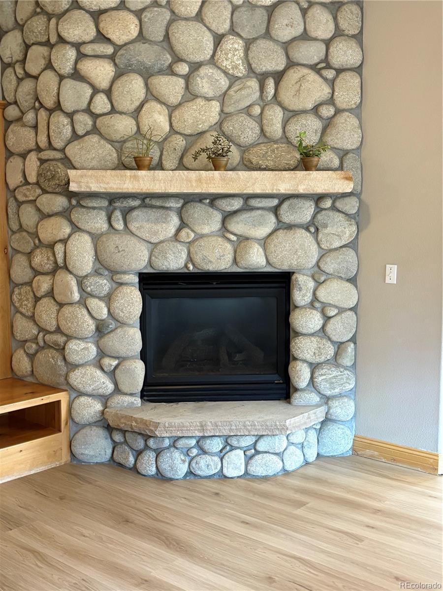 31276 Stone Canyon Road, Unit 76206 Evergreen, CO 80439 - Photo 10 of 23