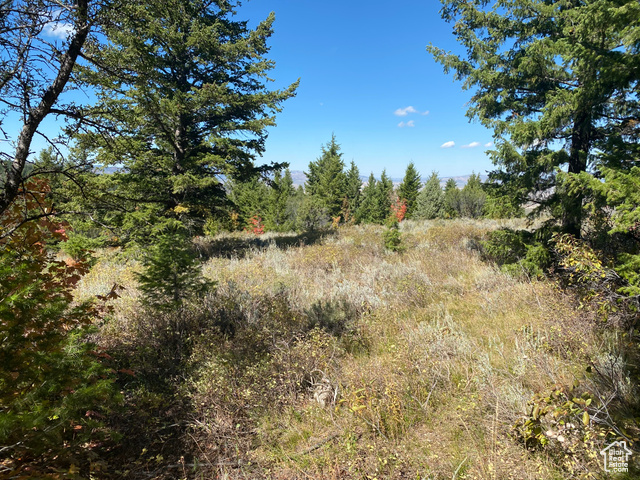 St, Unit 56 Bancroft, ID 83217 - Photo 3 of 17