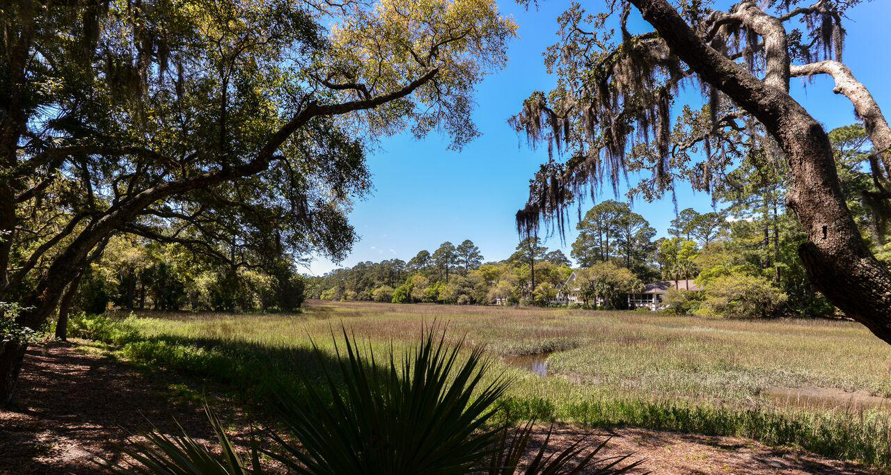 3143 Seabrook Island Road Seabrook Island, SC 29455 - Photo 3 of 28 MLS1