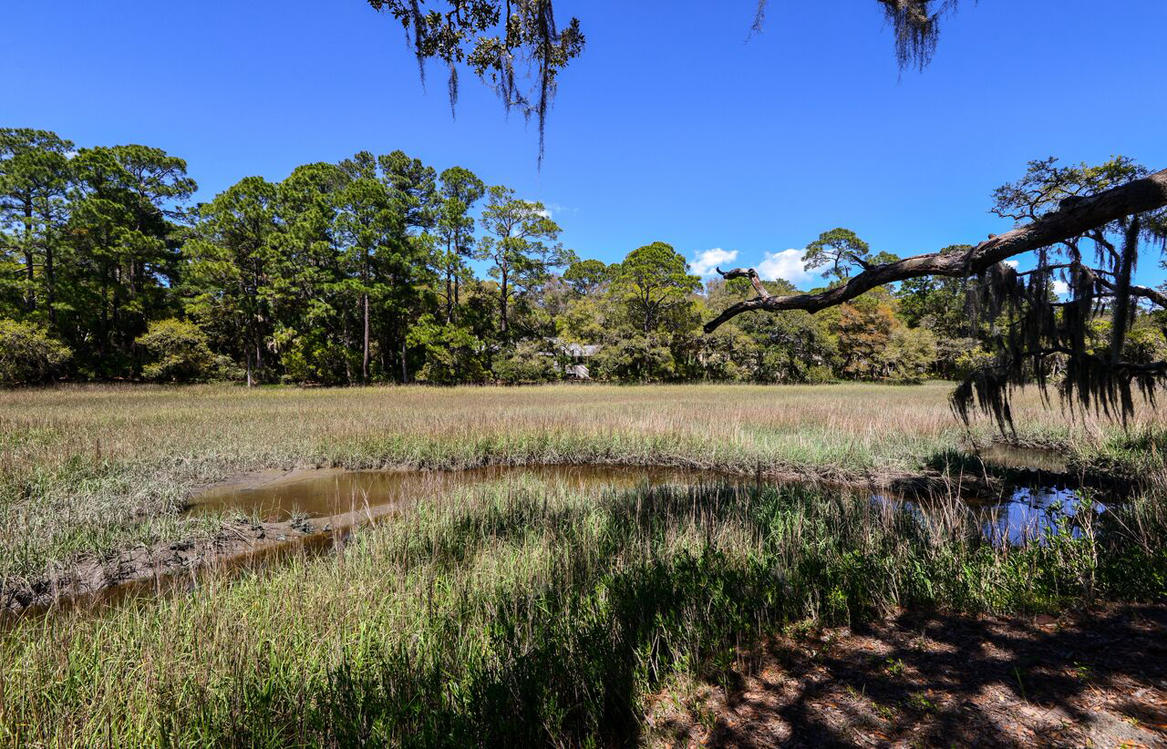 3143 Seabrook Island Road Seabrook Island, SC 29455 - Photo 27 of 28 MLS15